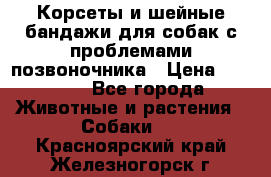 Корсеты и шейные бандажи для собак с проблемами позвоночника › Цена ­ 2 500 - Все города Животные и растения » Собаки   . Красноярский край,Железногорск г.